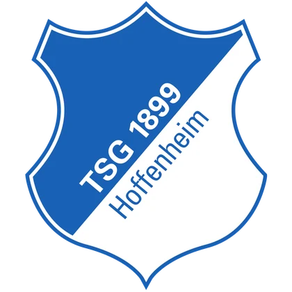 Wappen TSG Hoffenheim