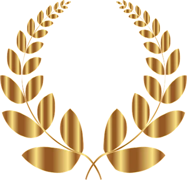Individuelle Turniere