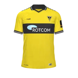 Heimtrikot