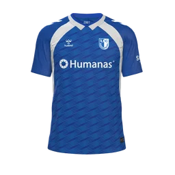 Heimtrikot