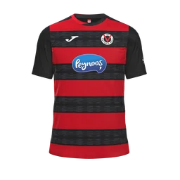 Heimtrikot