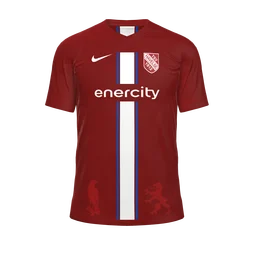 Heimtrikot