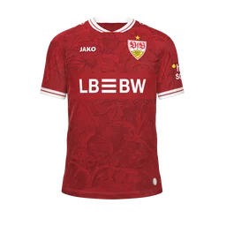 Auswärtstrikot