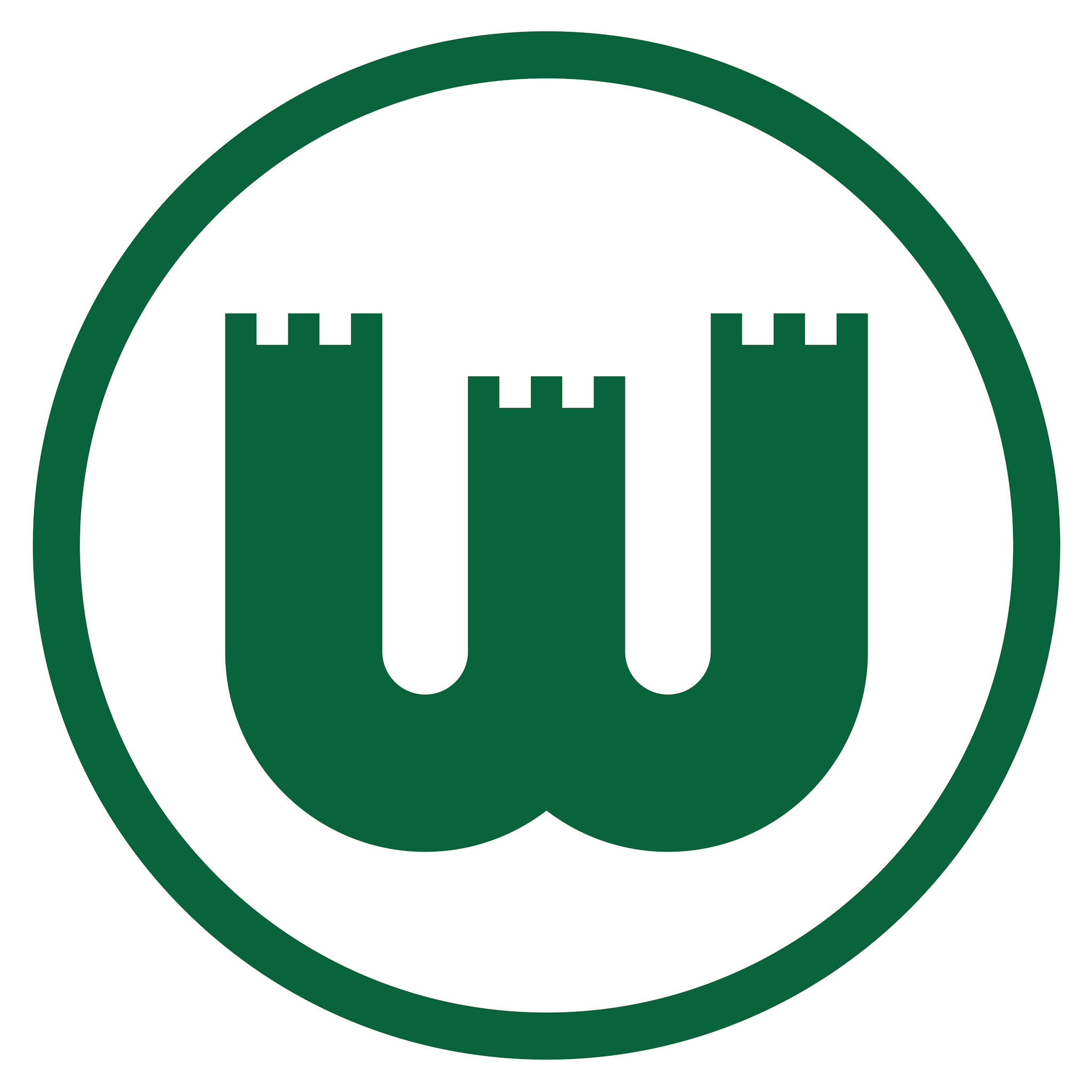 VfL Wolfsburg